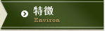 特徴